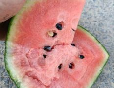 產(chǎn)地直供，歡迎您的到來