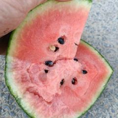 产地直供，欢迎您的到来