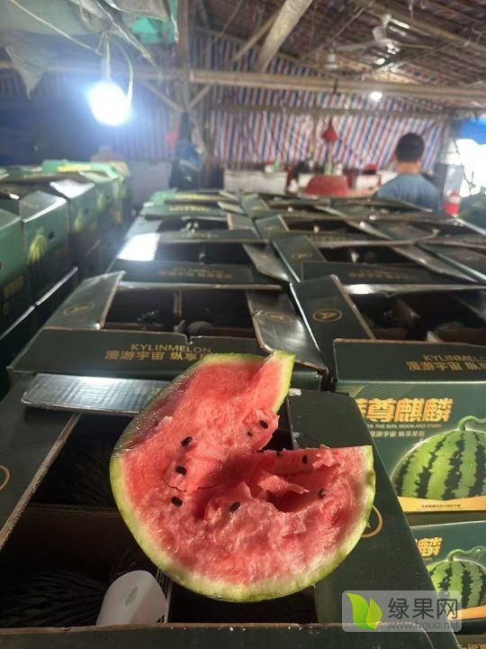 麒麟西瓜价格