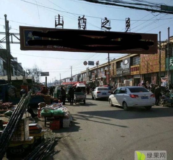 2024年山东单县白玉山药价格