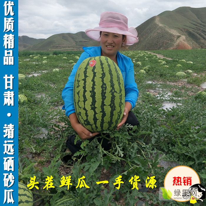 封面4.jpg