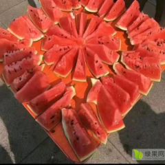 大量供应全美2k小糖丸西瓜