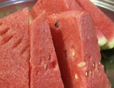 瓜好 瓜甜 肚圆