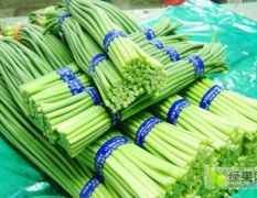 大蒜蒜苔代收