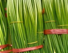 钟祥3月供应蒜苗 蒜苔即将上市，绿帽