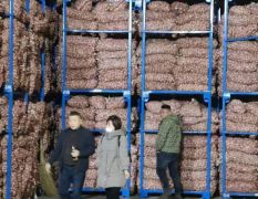 金乡大蒜批发总公司冷库储存可配资新客户支