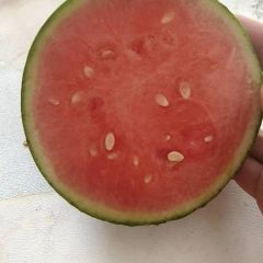 冰糖子西瓜，2k西瓜大量有货