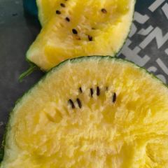 精品特小凤，基地直发