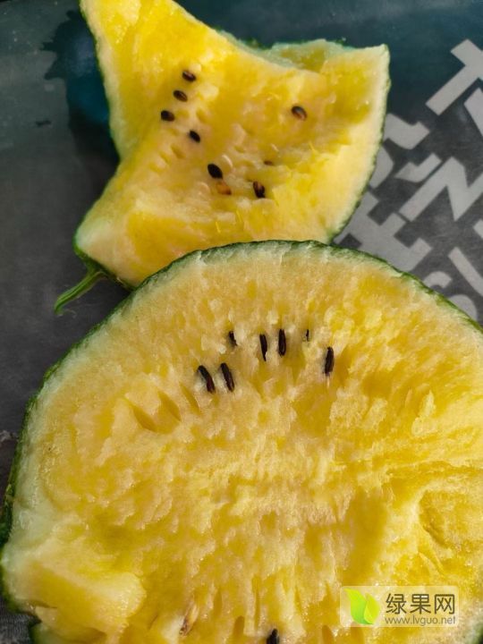 特小凤价格