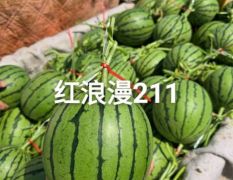 永会果业，专业代发