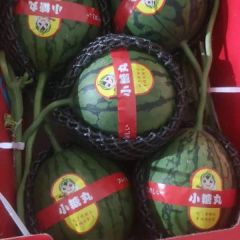 免费代收2K小吊瓜，小糖丸，小西瓜