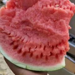 美都西瓜，711，甜王西瓜基地