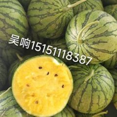 江苏特小凤西瓜，大量供应中，欢迎批发，诚信代办