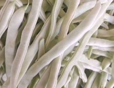 成武县芸豆，油豆，红豆