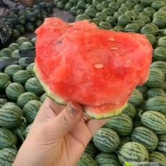 大量供应2K礼品小糖丸