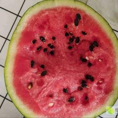 山东甜王西瓜 甜王西瓜大量上市