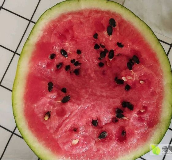 甜王系列价格