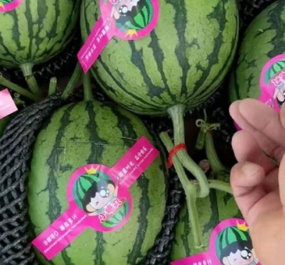 小糖丸 冰糖籽价格