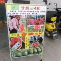 陕西甘美4k西瓜批发，甘美4k西瓜基地，