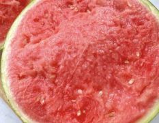 美都麒麟西瓜