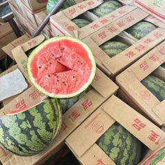 云南西瓜代办代发