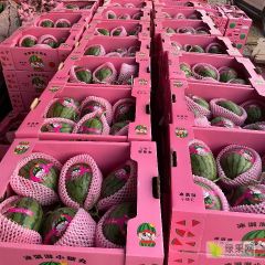 2K小糖丸西瓜 产地大量供应 一手货源