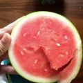 广西北海无籽黑美人