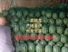 大量供應(yīng)甜王西瓜，對(duì)接各大市場(chǎng)商超平臺(tái)