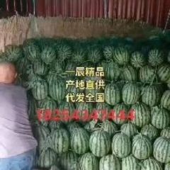 大量供应甜王西瓜，对接各大市场商超平台