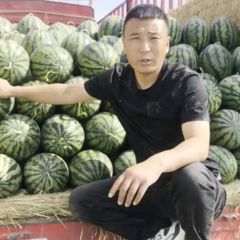 河北保定清苑伟业代发团队