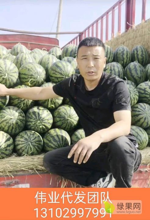 甜王系列价格