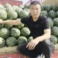 河北保定清苑伟业代发团队