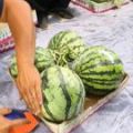 中牟县大棚西瓜已经大量上市价格不高质量最好