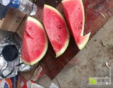 湖菜钟祥西瓜上市了