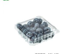 蓝莓、杨梅、草莓等等水果盒产品