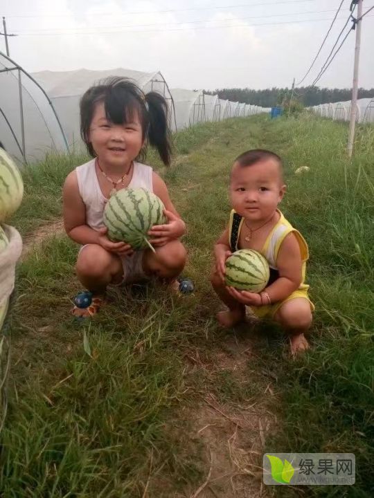 美都价格