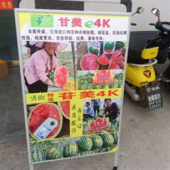 陕西大棚甘美4k西瓜批发无籽甘美西瓜基地价格