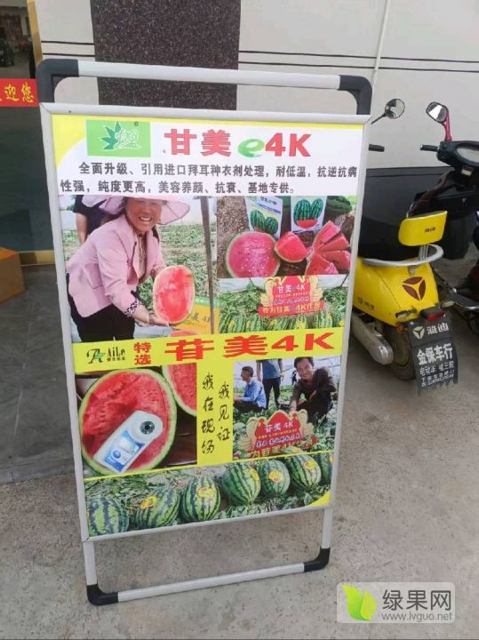 甘美4k西瓜价格