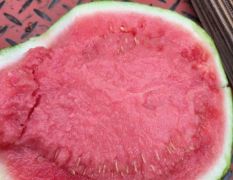 河南大棚無(wú)籽美都大量上市，誠(chéng)信代收代發(fā)全國(guó)發(fā)貨，