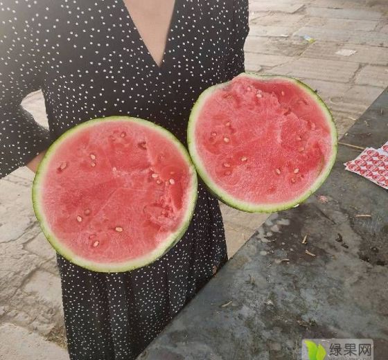 麒麟西瓜价格