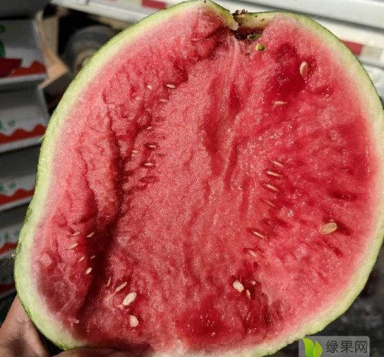 麒麟西瓜价格