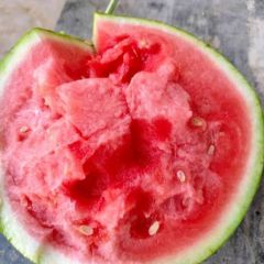 山潍坊美都西瓜脆甜爆汁 代办代发耐储运 代发全国