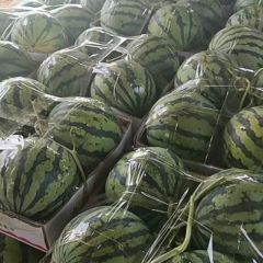 美都 有子 无子 全国供应