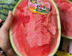 陕西甘美4 k 西瓜产地批发