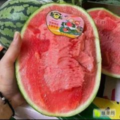 陕西甘美4 k 西瓜产地批发