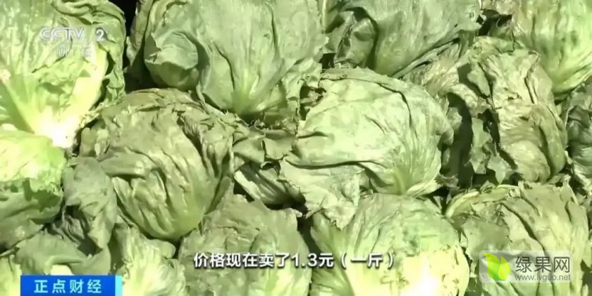 生菜.webp