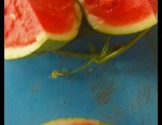 美都無(wú)子 有子