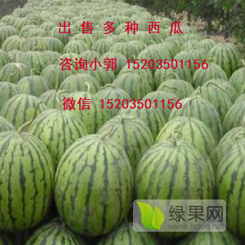 京欣价格