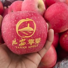陕西延安延长红富士苹果，75起步，纸袋，产地直销。