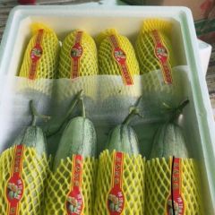山东惠民甜瓜大量上货